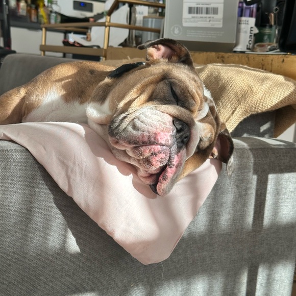 Always accepting offers ♥️ - Picture 5 of 6